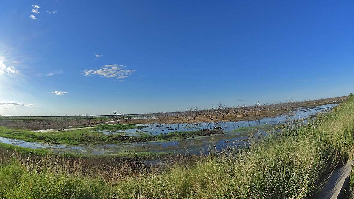 32 Sumpfland in der Pampa Argentiniens