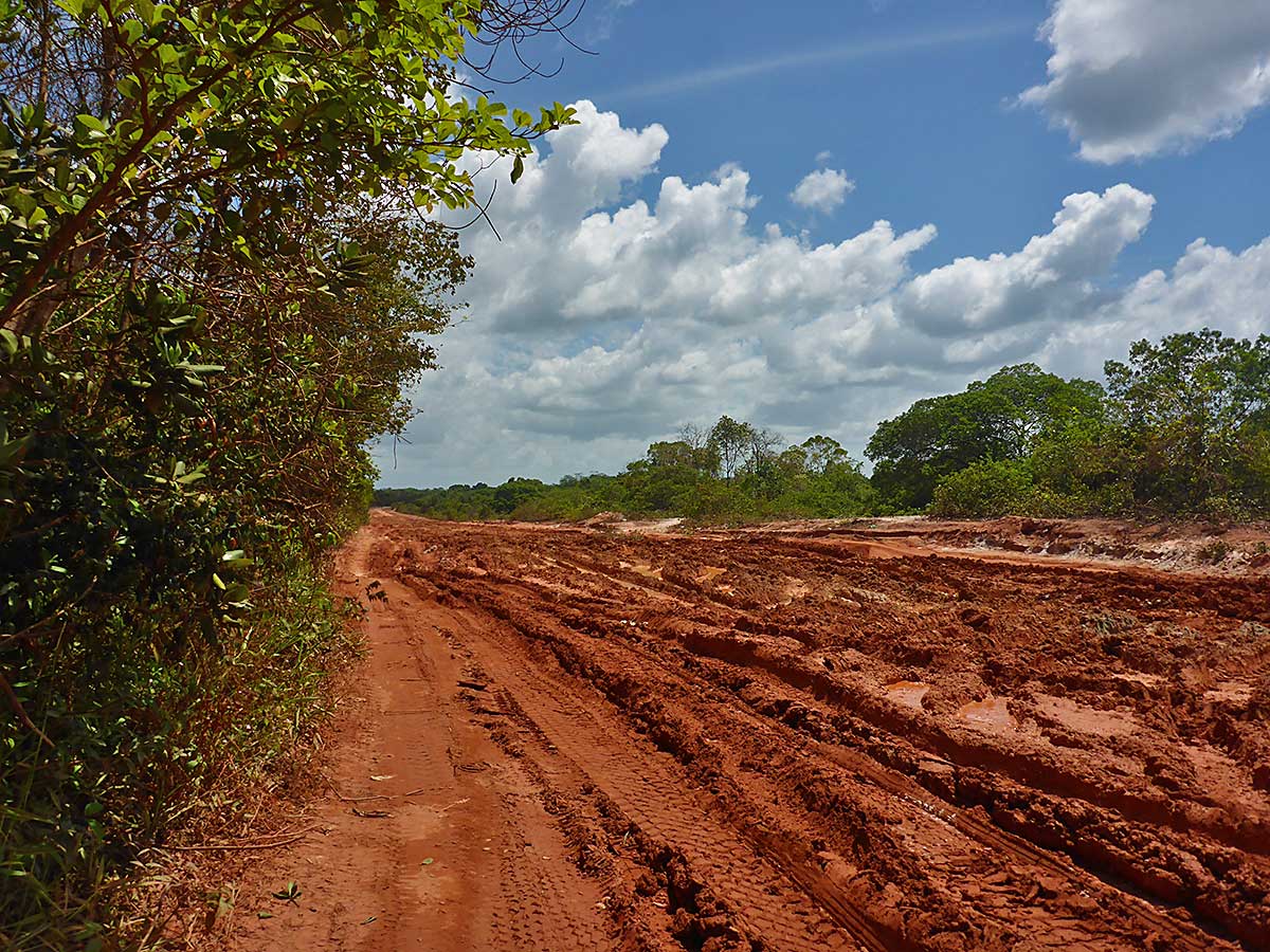17 Die Piste durch den Amazonas von Guyana nach Brasilien
