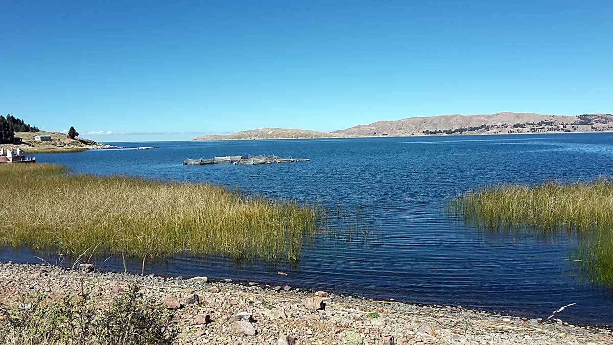 001 Die Hochebene am Nordostufer des Titicacasee1